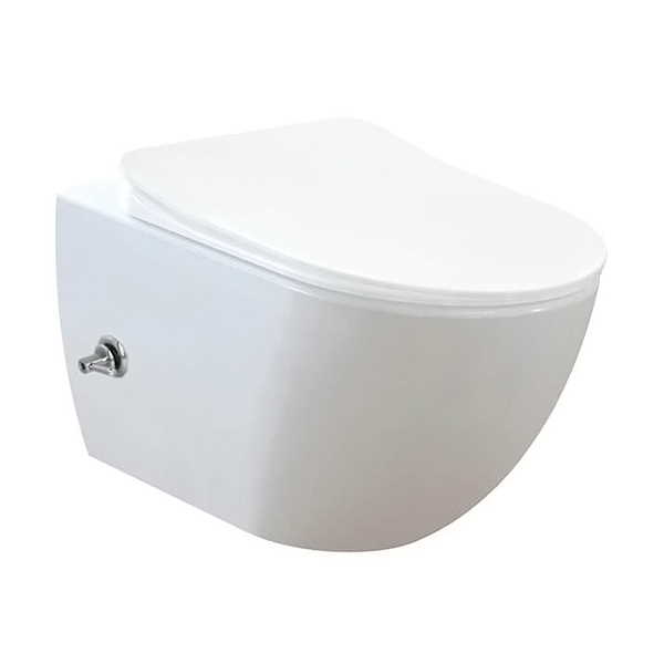 ROSE Wall Mounted Toilet with Seat Covert SP1170